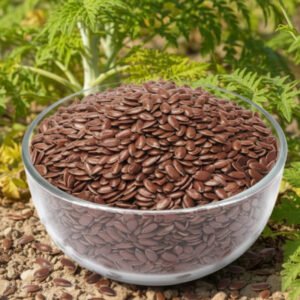 Flax Seeds